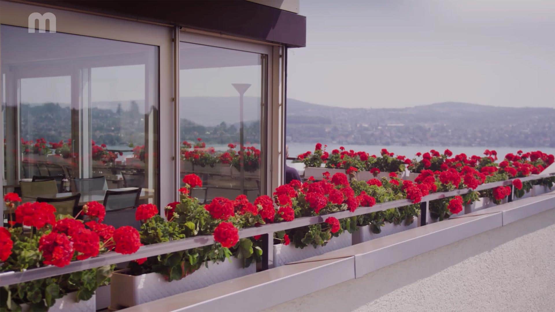 WasteStar Studacker WasteStar Studacker