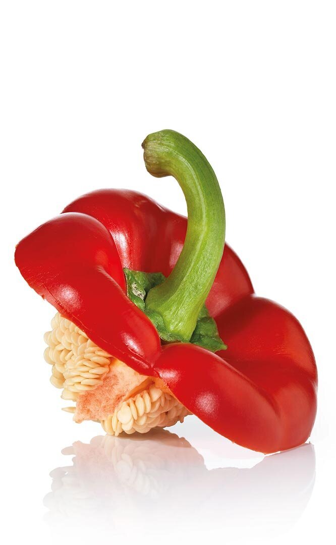 WasteStar paprika WasteStar red paprika