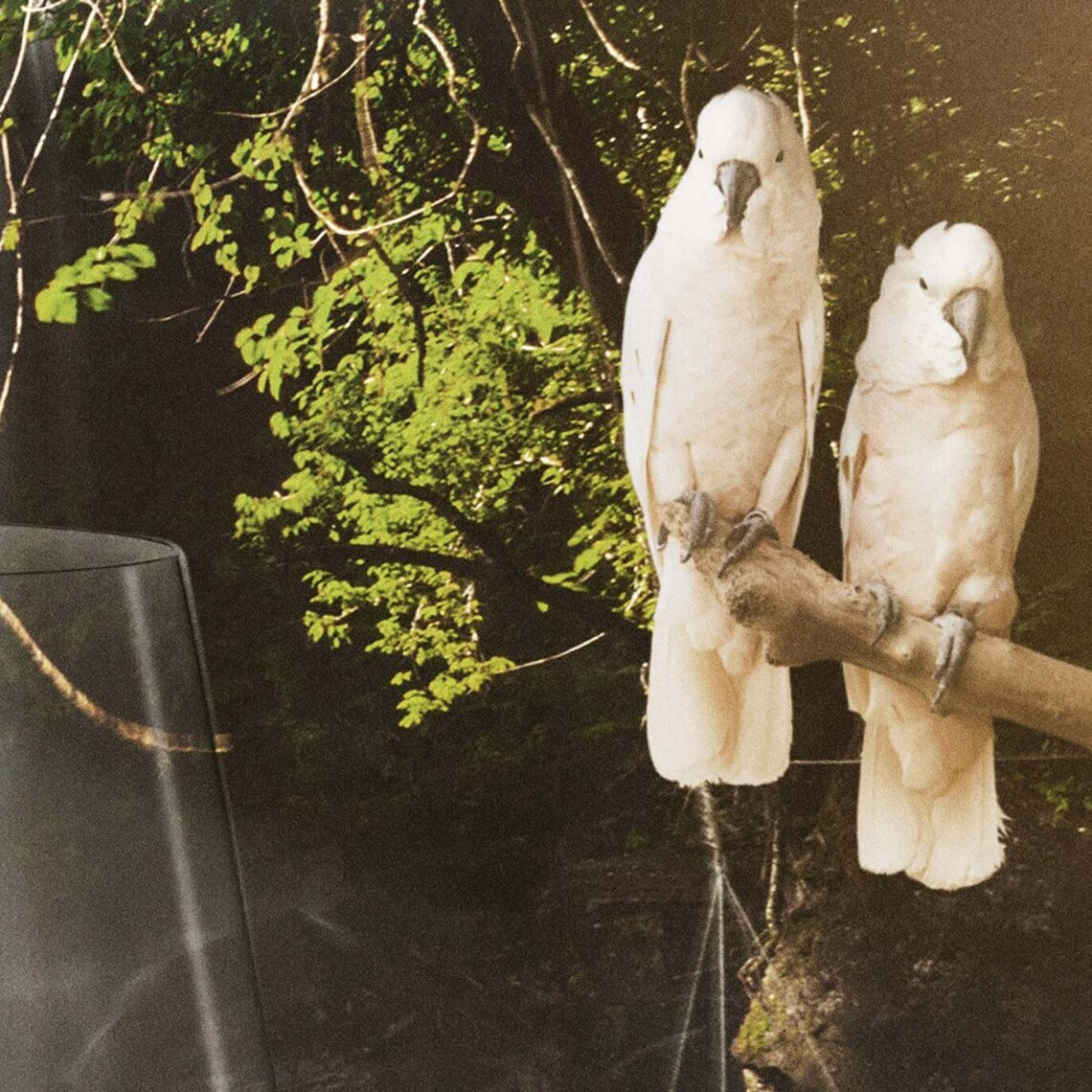 Dishwashing paradise Dishwashing paradise M-iClean H