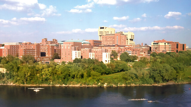 The University at Minnesota