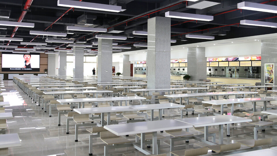 Portrait North West University Portrait North West University